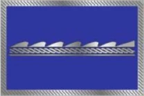 Ascenso a Oficial PMM